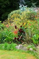 Hot border with Canna, Dahlia and Phormium - Yewbarrow House Gardens, Cumbria