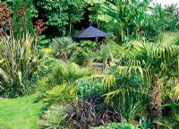 Blue painted pavillion in exotic suburban garden with palms, Butia yatay, Trithrinax  campestris, Champaerops humilis, Phormium 'Platts Blacie' and Trachleospermum wagnerianns - Beechwell House, Yorks