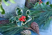 Christmas holly berries, pine cones and foliage 