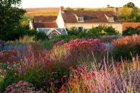 House and perennial border in evening light. Planting includes Eupatorium, Perovskia 'Blue Spire', Echinacea 'Rubinstern' and Sedum 'Autumn Joy' - Lady Farm, Somerset