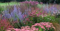 Perennial border with Sedum 'Autumn Joy', Echinacea 'Rubinstern', Perovskia, Monarda 'Fishes', Eupatorium and Persicaria - Lady Farm, Somerset