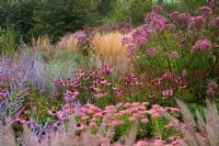 New perennial border with Sedum spectabile 'Autumn Joy', Echinacea purpurea 'Rubinstern', Eupatorium, Perovskia 'Blue Spire' and Calamagrostis 'Karl Foerster' - Lady Farm, Somerset