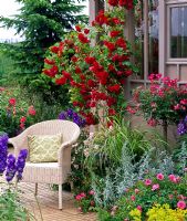 Relaxing area near mixed flowerbed of Rosa 'Flammentanz', 'Lupo' and 'Medley Pink', Artemisia, Delphinium and Spartina 