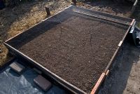 Raised bed with soil raked to a fine tilth and netting to protect young plants on an allotment