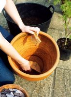 Step 3 of planting an Acer in a terracotta pot - Place crocks in the pot for drainage