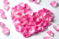 Rose petals in a heart shape