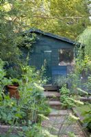 Garden shed and vegetable garden - Richmond, Surrey