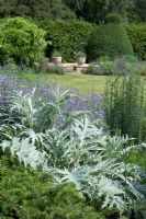 Artichoke, Nepeta, Yew edging and topiary - Narborough Hall 