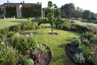 Key hole shaped beds with tree sapling in centre - Narborough Hall