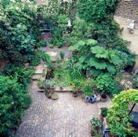 Private London garden with Gunnera beside pond, brick paving and tropical fig