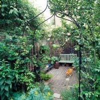 Private London garden with bench, metal arch entrance and cat
