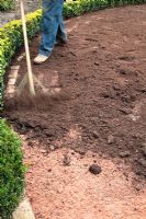 Preparing surface for turfing, spreading compost over sand beside low Buxus hedging in December