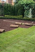 Laying new turf in town garden, rolls of turf spaced out and low Buxus hedge in background