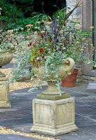 Stone urn with trailing plants including Helichrysum, pansies and Phormium - Saltford Farm, Bath, UK