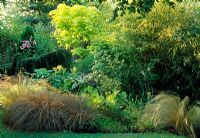 Grasses surround pond and bog garden including Carex comans 'Bronze', Carex morrowii 'Fisher's Form', Stipa tenuissima and Hostas