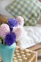 Hyacinths in vase