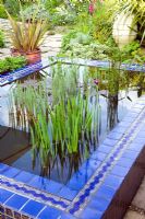 Moroccan inspired garden with drought tolerant planting and tiled pond planted with Nymphaea and Iris