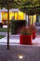 An alley of pleached hornbeams with uplighting lead back to the house, red fibreglass planters with Imperata cylindrica - Belgium