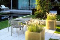 White fibreglass planters of Pennisetum beside the dining area, near the pool