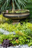 Small water feature with Nymphaea - Water lilies in stone urn in The Burgbad Sanctuary garden with shade loving plants, Epimedium, Acorus gramineus Ogon, Eucomis, Heuchera and Ferns - RHS Hampton Court Flower Show 2008