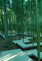 Artist's bamboo garden at Villa Medici, Rome. A bamboo forest with zig zag concrete raised paths.
