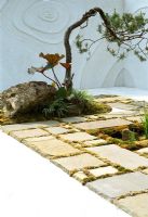 Modern classic, small Japanese garden with rock and bonsai pine tree. Moss grows between pavers set off by sculptured white walls and floor.