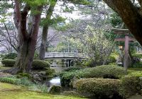 Bonsai, moss, stream and wooden bridge - Spring evening at Kenrokuen Gardens, Kanazawa, Japan 