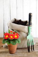 Hessian sack filled with compost, hand fork and red Primula in terracotta pot
