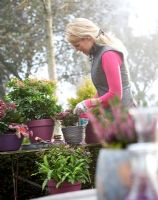 Woman arranging autumn containers