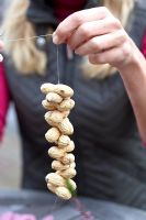Woman threading peanuts onto cotton to make bird feeder