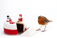 Erithacus Rubecula - Robin and Christmas cake 