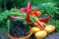Freshly picked fruit and vegetables in a trug. Blackberries in a wicker basket, potatoes, carrots with tails, courgettes, mint, beans, apples, plums and tomatoes