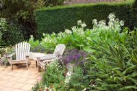Nicotiana sylvestris growing in a large curved raised bed, paved patio with New England deckchairs and container plantings