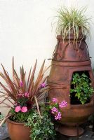 Phormium, Ivy and mixed summer bedding plants in containers