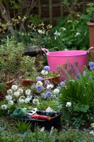 Gardeners toolbox and pink trug in a garden