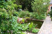 The pond area with Angelica, Primulas and Hydrangea petiolaris in the foreground - Eldenhurst