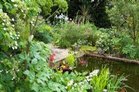 The pond area with Angelica and Primulas in the foreground - Eldenhurst