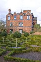 Box hedge planted in maze and standards - Moseley Old Hall, Staffordsshire 