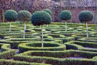 Box hedge planted clipped into maze and standard trees - Moseley Old Hall, Staffordsshire 