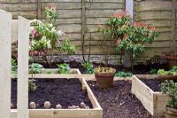 Raised beds made from treated timber for planting vegetables