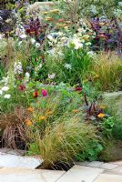 Mixed perennial planting - Branching Out with Copella, The Apple Juice Garden, RHS Hampton Court Flower Show 2008
