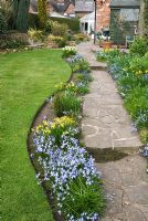 Spring borders with Chionodoxa and Narcissus adjacent to lawn and stone path leading to shed and conservatory - Parm Place, NGS garden, Great Budworth, Cheshire 