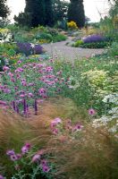 Dry perennial bed with gravel pathways. Planting includes Stipa tenuissima, Centaurea, Tanacetum and Parthenium - Beth Chatto's garden, Elmstead, Essex
