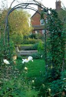 Arch to Victorian house, white Cosmos in foreground. Large Salix x sepulcralis to left of steps