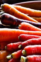 Washed carrots 'Samurai Red', Maestro', 'Purple Haze' and 'Yellowstone'