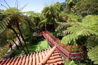 Japanese Garden - Monte Tropical Garden