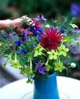 Arranging flowers in vase - Salvia, Dahlia, Nicotiana and Nigella