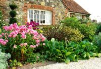Summer boarder against a stone house in Sussex. Bronze form of Phormium tenax, Bergenia and Phlox