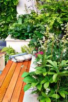 A seating area and raised beds with planting including Betula alba, Hosta, Luzula nivea, Dryopteris, Dicentra 'King of Hearts' and Epimedium in The Eco Chic Garden, sponsored by Helios - Gold medal winner for Best Urban Garden at RHS Chelsea Flower Show 2009