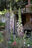 The Fenland Alchemist Garden, sponsored by Giles Landscapes - Gold medal winner for Best Courtyard Garden at RHS Chelsea Flower Show 2009
